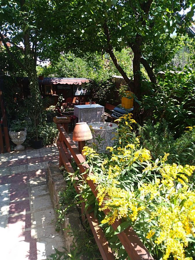 Ferienwohnung Durmitor Kumanovo Exterior foto
