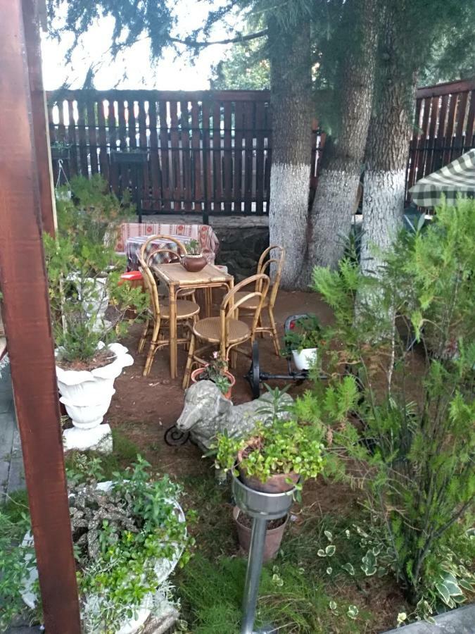 Ferienwohnung Durmitor Kumanovo Exterior foto