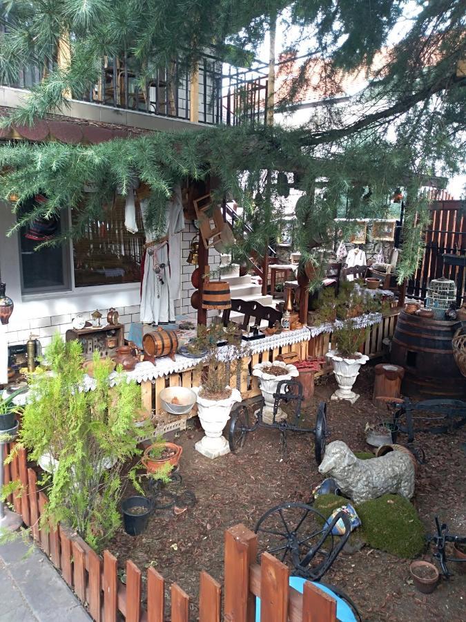 Ferienwohnung Durmitor Kumanovo Exterior foto